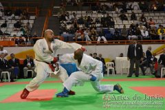 AdJ_29_Campeonato_Brasileiro_Karate_Goju-ryu_Dia16_257