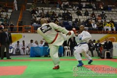 AdJ_29_Campeonato_Brasileiro_Karate_Goju-ryu_Dia16_258