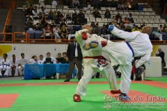 AdJ_29_Campeonato_Brasileiro_Karate_Goju-ryu_Dia16_259