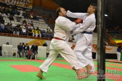 AdJ_29_Campeonato_Brasileiro_Karate_Goju-ryu_Dia16_263