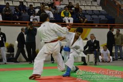 AdJ_29_Campeonato_Brasileiro_Karate_Goju-ryu_Dia16_284