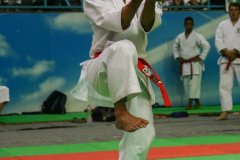 AdJ_30-Campeonato-Brasileiro-Karate-Goju-ryu_010