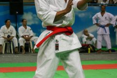 AdJ_30-Campeonato-Brasileiro-Karate-Goju-ryu_013
