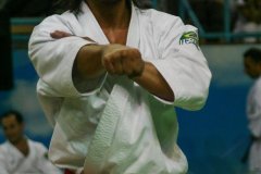 AdJ_30-Campeonato-Brasileiro-Karate-Goju-ryu_014