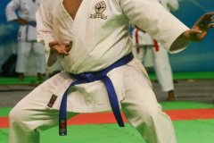 AdJ_30-Campeonato-Brasileiro-Karate-Goju-ryu_015