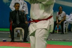 AdJ_30-Campeonato-Brasileiro-Karate-Goju-ryu_016