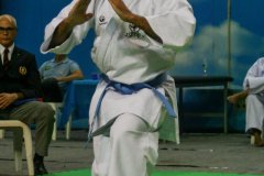 AdJ_30-Campeonato-Brasileiro-Karate-Goju-ryu_019