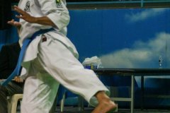 AdJ_30-Campeonato-Brasileiro-Karate-Goju-ryu_020