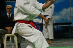 AdJ_30-Campeonato-Brasileiro-Karate-Goju-ryu_025