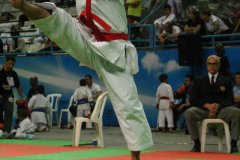 AdJ_30-Campeonato-Brasileiro-Karate-Goju-ryu_026