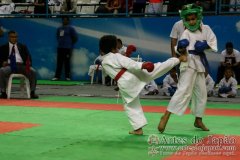 AdJ_30-Campeonato-Brasileiro-Karate-Goju-ryu_029