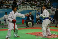 AdJ_30-Campeonato-Brasileiro-Karate-Goju-ryu_031