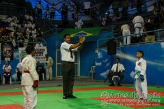 AdJ_30-Campeonato-Brasileiro-Karate-Goju-ryu_033
