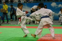 AdJ_30-Campeonato-Brasileiro-Karate-Goju-ryu_039