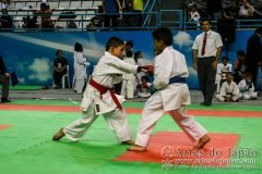 AdJ_30-Campeonato-Brasileiro-Karate-Goju-ryu_040