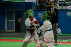 AdJ_30-Campeonato-Brasileiro-Karate-Goju-ryu_044