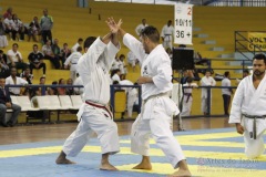 AdJ_31-Campeonato-Brasileiro-Karate-Gojuryu_059