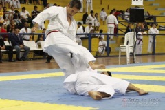 AdJ_31-Campeonato-Brasileiro-Karate-Gojuryu_065