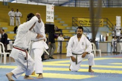AdJ_31-Campeonato-Brasileiro-Karate-Gojuryu_069