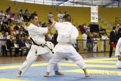 AdJ_31-Campeonato-Brasileiro-Karate-Gojuryu_076
