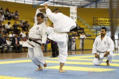 AdJ_31-Campeonato-Brasileiro-Karate-Gojuryu_078