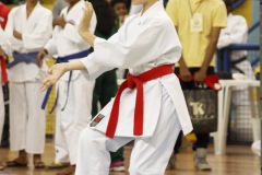 AdJ_31-Campeonato-Brasileiro-Karate-Gojuryu_094