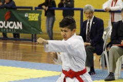 AdJ_31-Campeonato-Brasileiro-Karate-Gojuryu_099