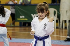 AdJ_31-Campeonato-Brasileiro-Karate-Gojuryu_100