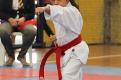 AdJ_31-Campeonato-Brasileiro-Karate-Gojuryu_101