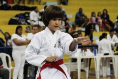 AdJ_31-Campeonato-Brasileiro-Karate-Gojuryu_102