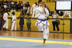 AdJ_31-Campeonato-Brasileiro-Karate-Gojuryu_109