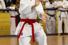 AdJ_31-Campeonato-Brasileiro-Karate-Gojuryu_115