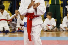 AdJ_31-Campeonato-Brasileiro-Karate-Gojuryu_116