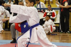 AdJ_31-Campeonato-Brasileiro-Karate-Gojuryu_117