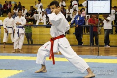 AdJ_31-Campeonato-Brasileiro-Karate-Gojuryu_118