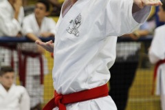 AdJ_31-Campeonato-Brasileiro-Karate-Gojuryu_121