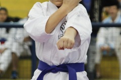 AdJ_31-Campeonato-Brasileiro-Karate-Gojuryu_123