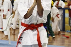 AdJ_31-Campeonato-Brasileiro-Karate-Gojuryu_125