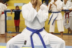 AdJ_31-Campeonato-Brasileiro-Karate-Gojuryu_126