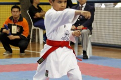 AdJ_31-Campeonato-Brasileiro-Karate-Gojuryu_129