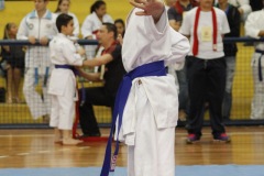 AdJ_31-Campeonato-Brasileiro-Karate-Gojuryu_130
