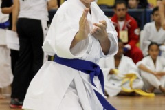 AdJ_31-Campeonato-Brasileiro-Karate-Gojuryu_131