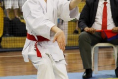 AdJ_31-Campeonato-Brasileiro-Karate-Gojuryu_132
