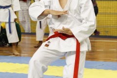 AdJ_31-Campeonato-Brasileiro-Karate-Gojuryu_133