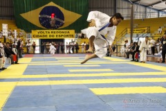 AdJ_31-Campeonato-Brasileiro-Karate-Gojuryu_137