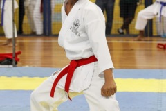 AdJ_31-Campeonato-Brasileiro-Karate-Gojuryu_139
