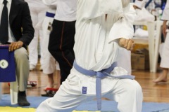 AdJ_31-Campeonato-Brasileiro-Karate-Gojuryu_140