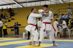 AdJ_31-Campeonato-Brasileiro-Karate-Gojuryu_443