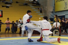 AdJ_31-Campeonato-Brasileiro-Karate-Gojuryu_463