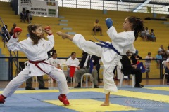 AdJ_31-Campeonato-Brasileiro-Karate-Gojuryu_467